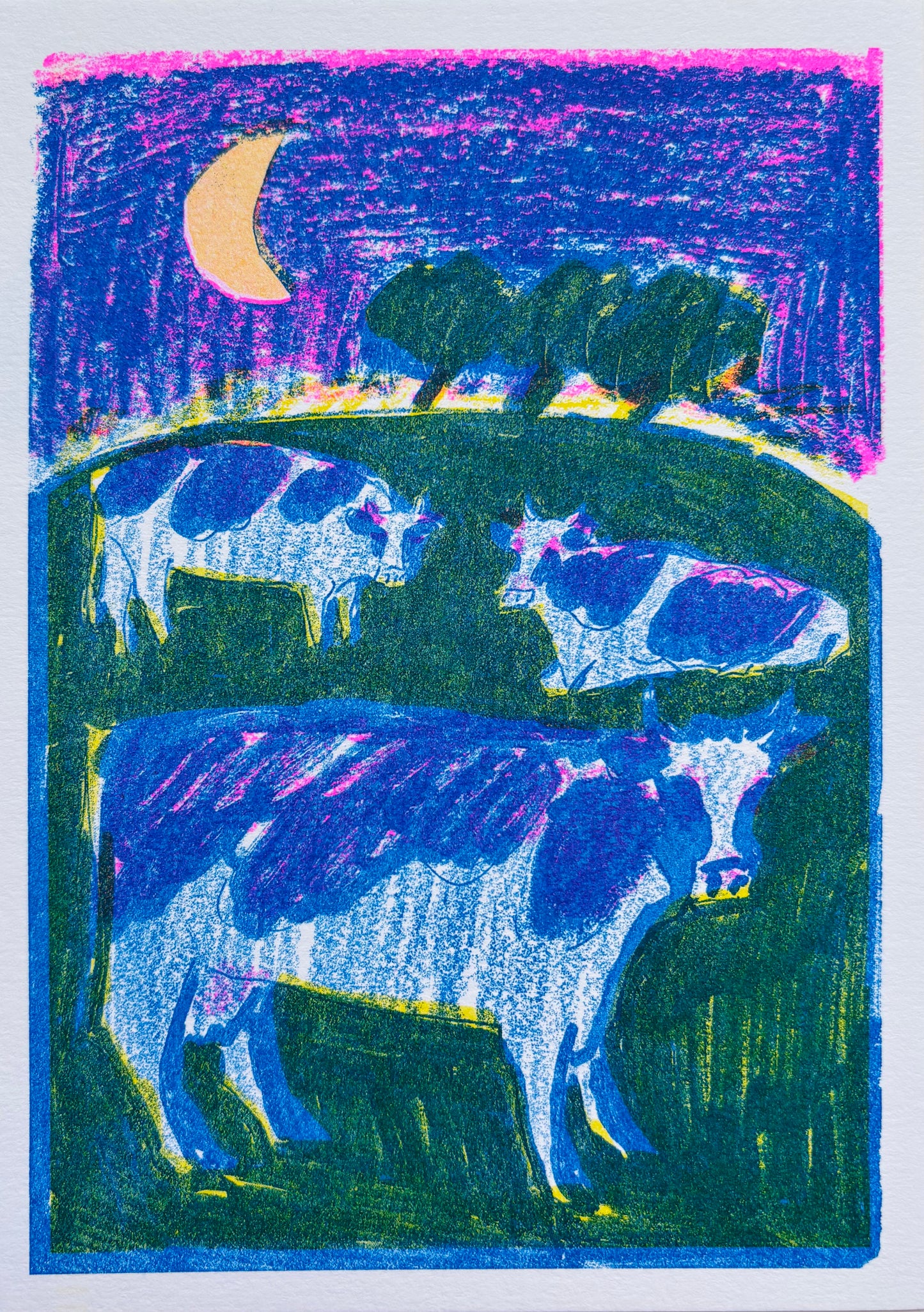 'Cows in a Field at Night' greetings card