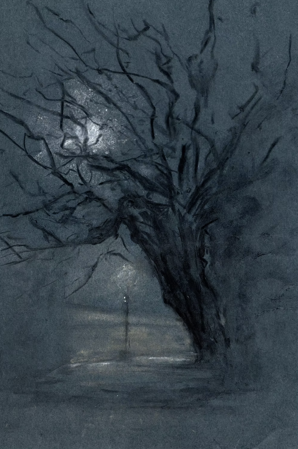 Moonlight in Lamb and Flag Passage