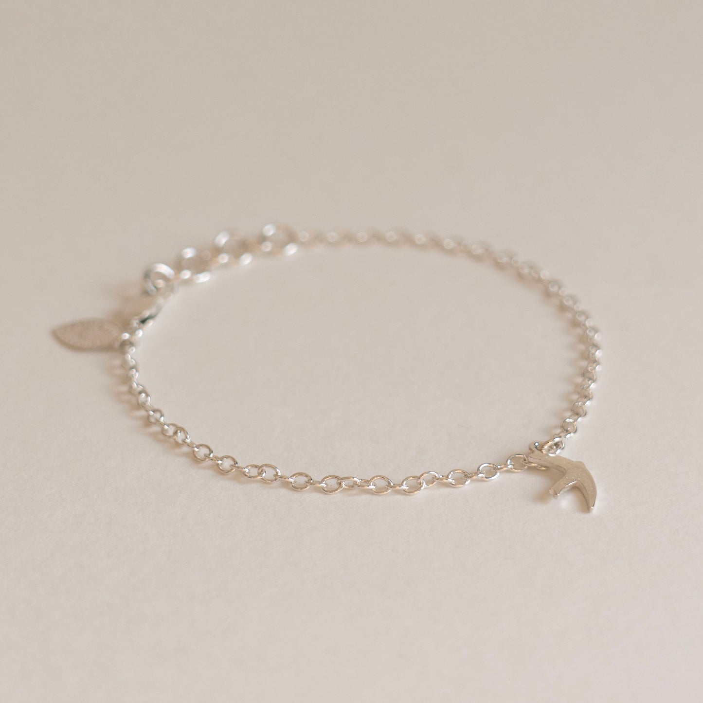 Silver swift charm bracelet