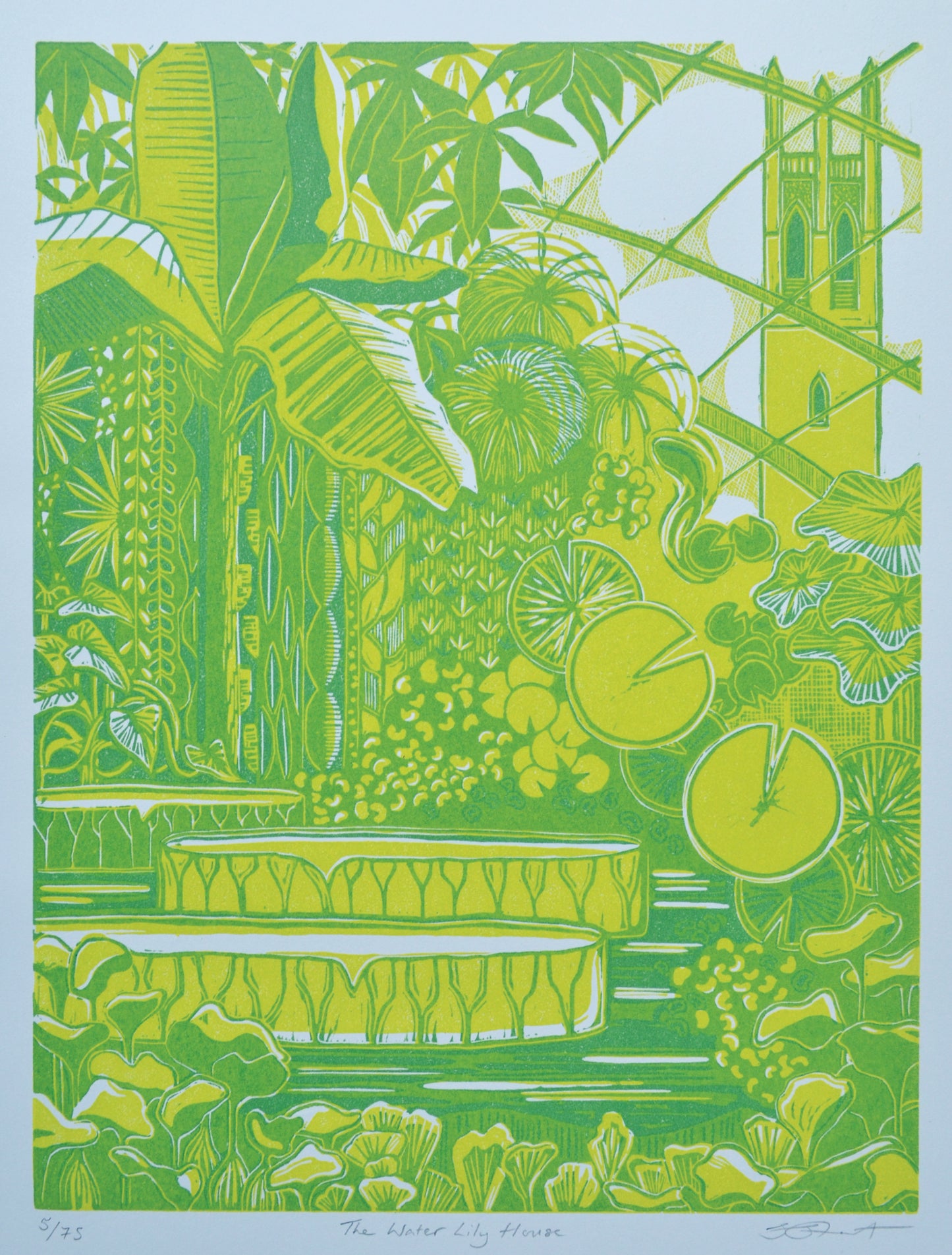 The Water Lily House linocut print