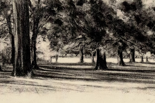 Autumn Light, Christchurch Meadow, Oxford