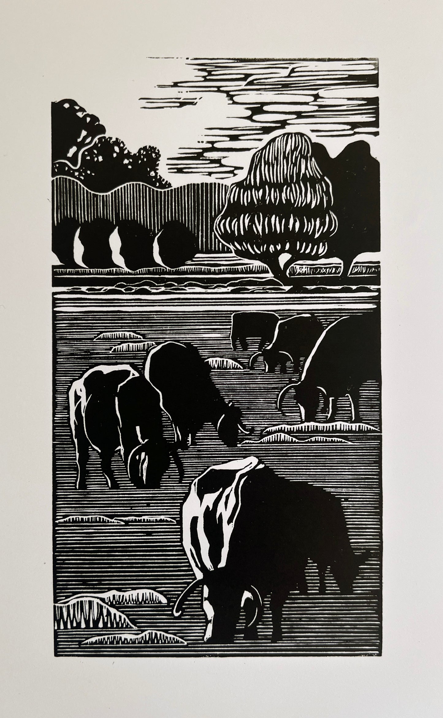 Christ Church Cows linocut print