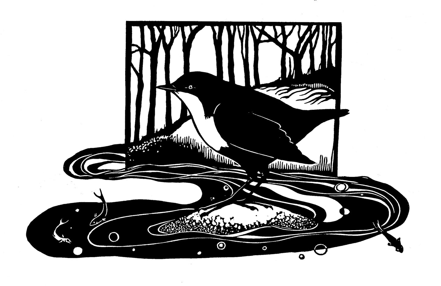 Dipper linocut print