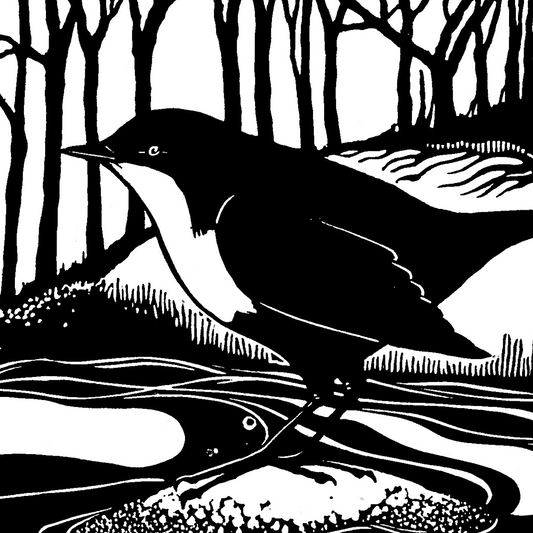 Dipper linocut print