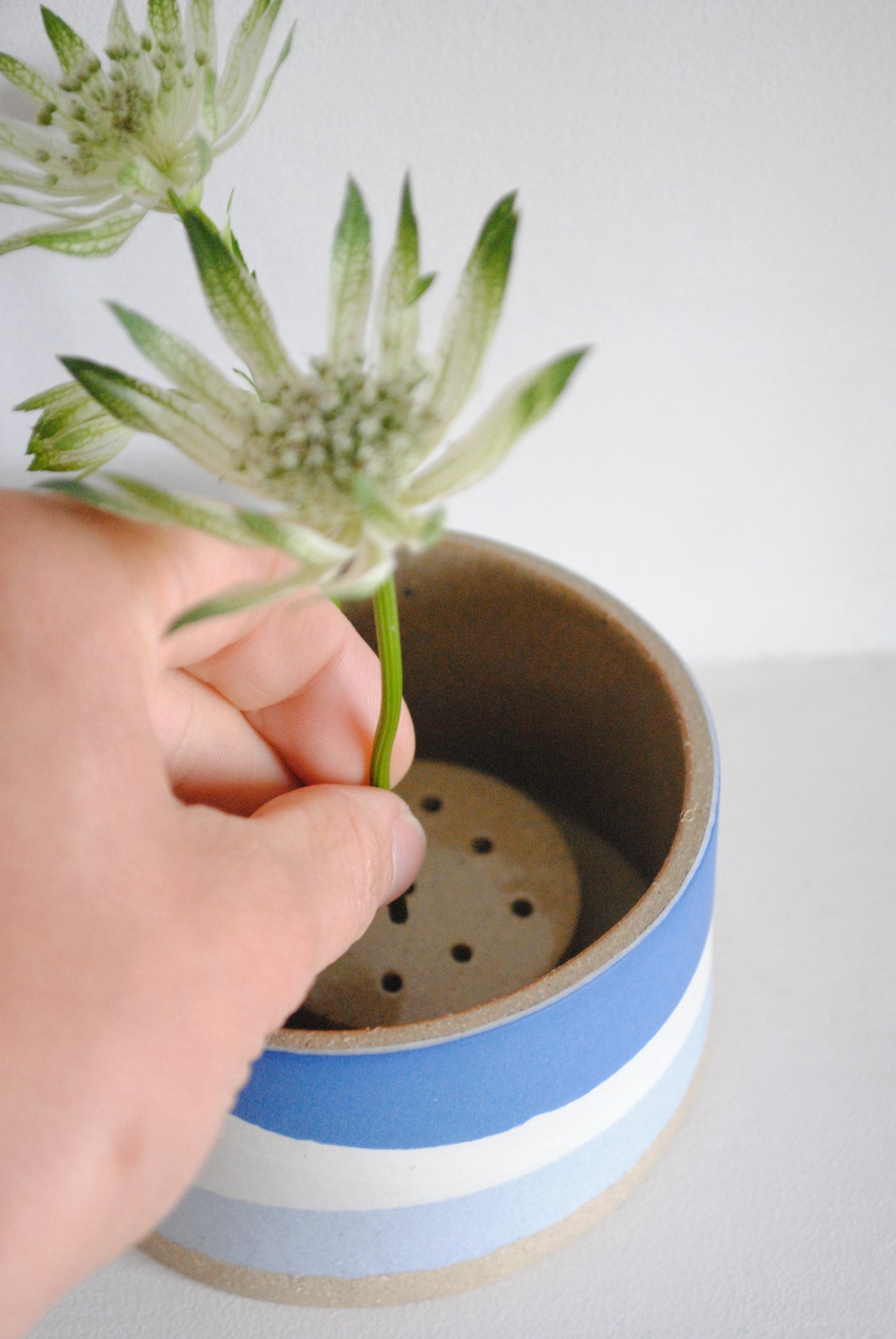Flower Bowl