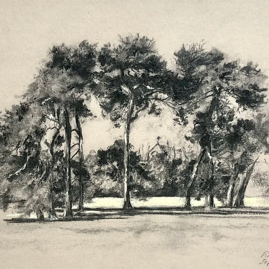 Scots Pines and Keble College, University Parks
