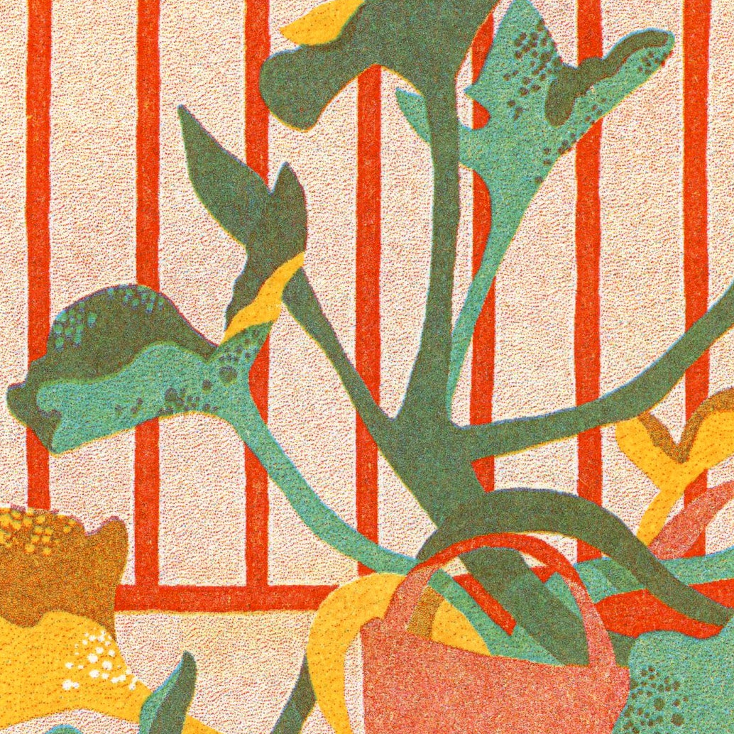 Courgette Plant print