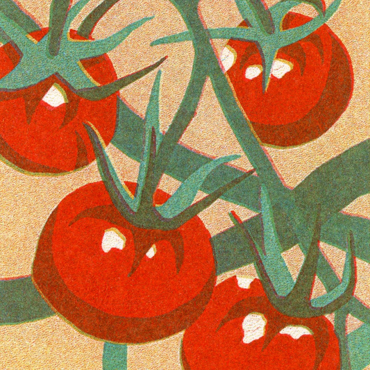Tomatoes print