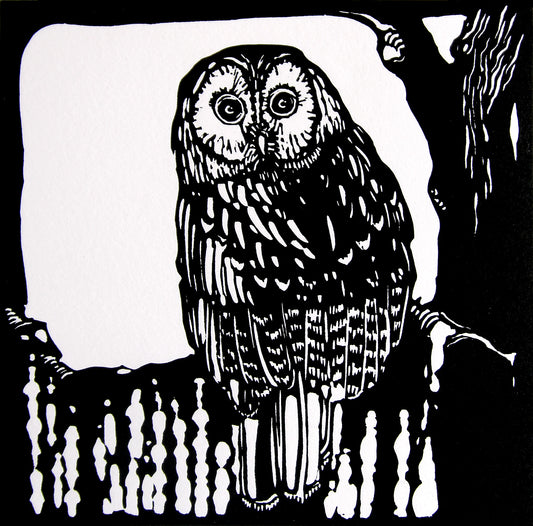 Tawny owl linocut print